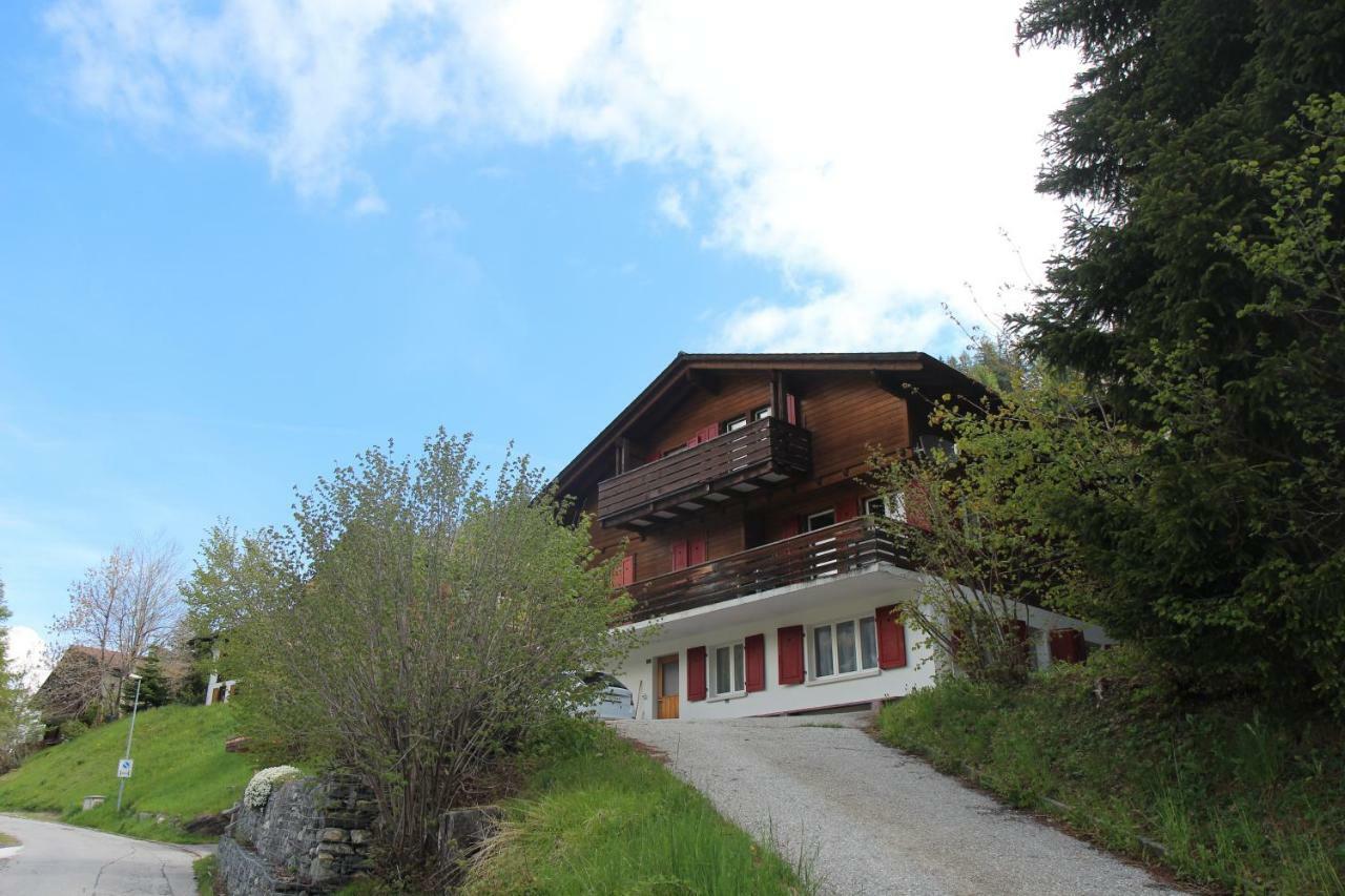Haus Siegfried Apartment *